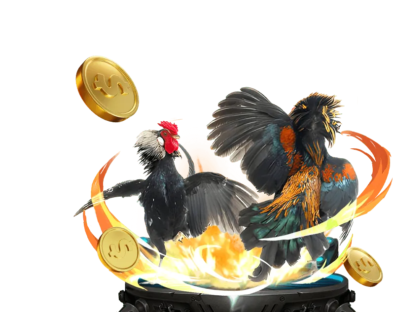 Đá Gà j88vip1 com